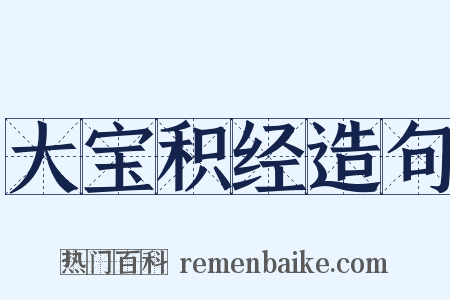 大宝积经造句是什么意思的图片
